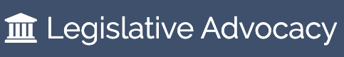 advocacy icon